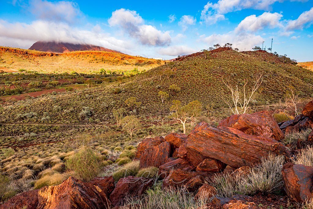 PilbaraColours's tweet photo. The Morning After...
A beaut misty morning following #cyclonedamien 💨 
#pilbaracolours  #tomprice #pilbaraphotographer #pilbara #landscape #pilbaraweather #cyclone #summer #wetseason #landscapephotography 
©Pilbara Colours by L.E's Photography https://t.co/nSc2ko32AJ