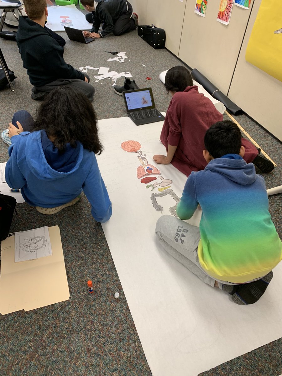 MrsCockrell's tweet photo. KMS 7th graders are learning about the human body systems. Each group has featured systems they are creating info graphs for to display the functions, organs and ways to care for the body. ⁦@KarrerMS⁩ https://t.co/gMpL6mEVrt