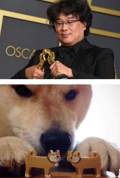alliemercer's tweet photo. I present to you, “Now Kiss” a meme-oir 🏆💕🐶#Oscars2020 https://t.co/rtyhbzPZoL