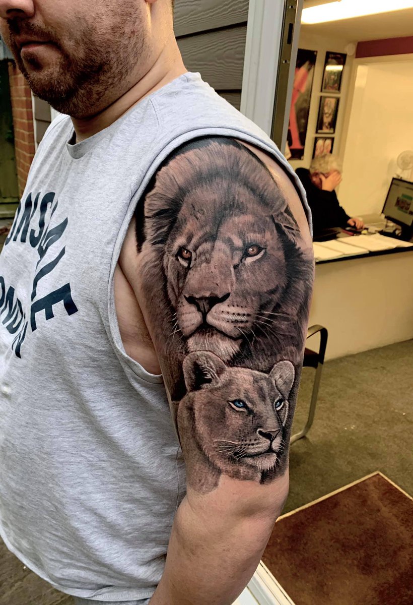 lion tattoo with cub videoTikTok Search