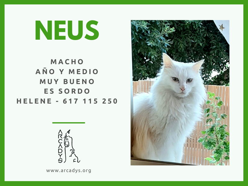 ¡¡Busquemos casa a Neus!! - arcadys.org/busquemos-casa…