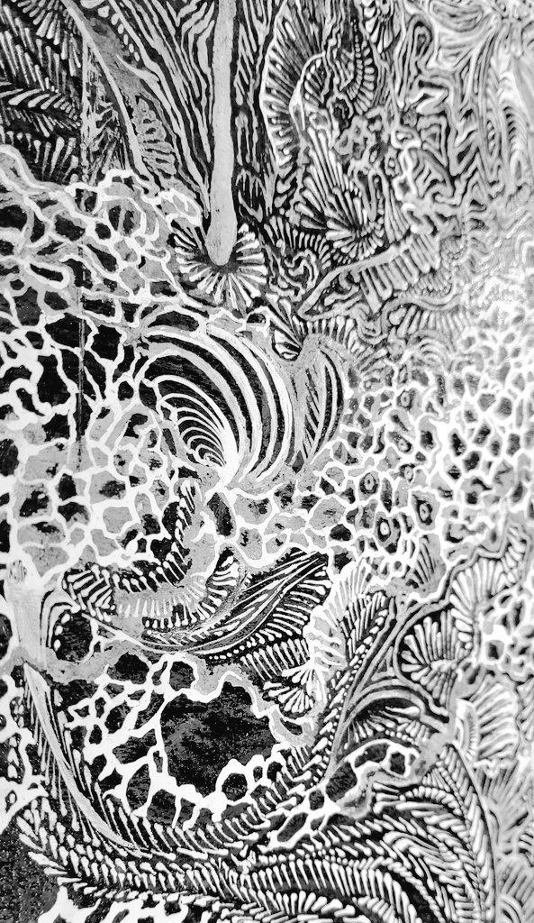 Wip_Drawing.
Secret in monochrome
シロモジホコリの観察記録として
#粘菌 #変形菌 #細胞画家の日常 