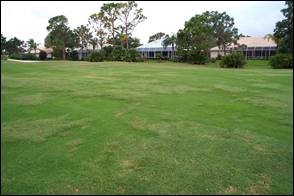 You getting ready to renovate your warm-season fairways?  This #GST Talking Turf highlights controlling bermudagrass and other weeds during the renovation process: bit.ly/2vTCHBv