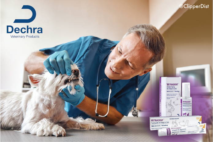 ClipperDist's tweet photo. February is Pet Dental Month! Cleaner teeth is easier with Dechra's Vetradent! Scientifically formulated to control tartar using Biotrate Technology! #clippertiptuesday https://t.co/bmhxbRqmEM