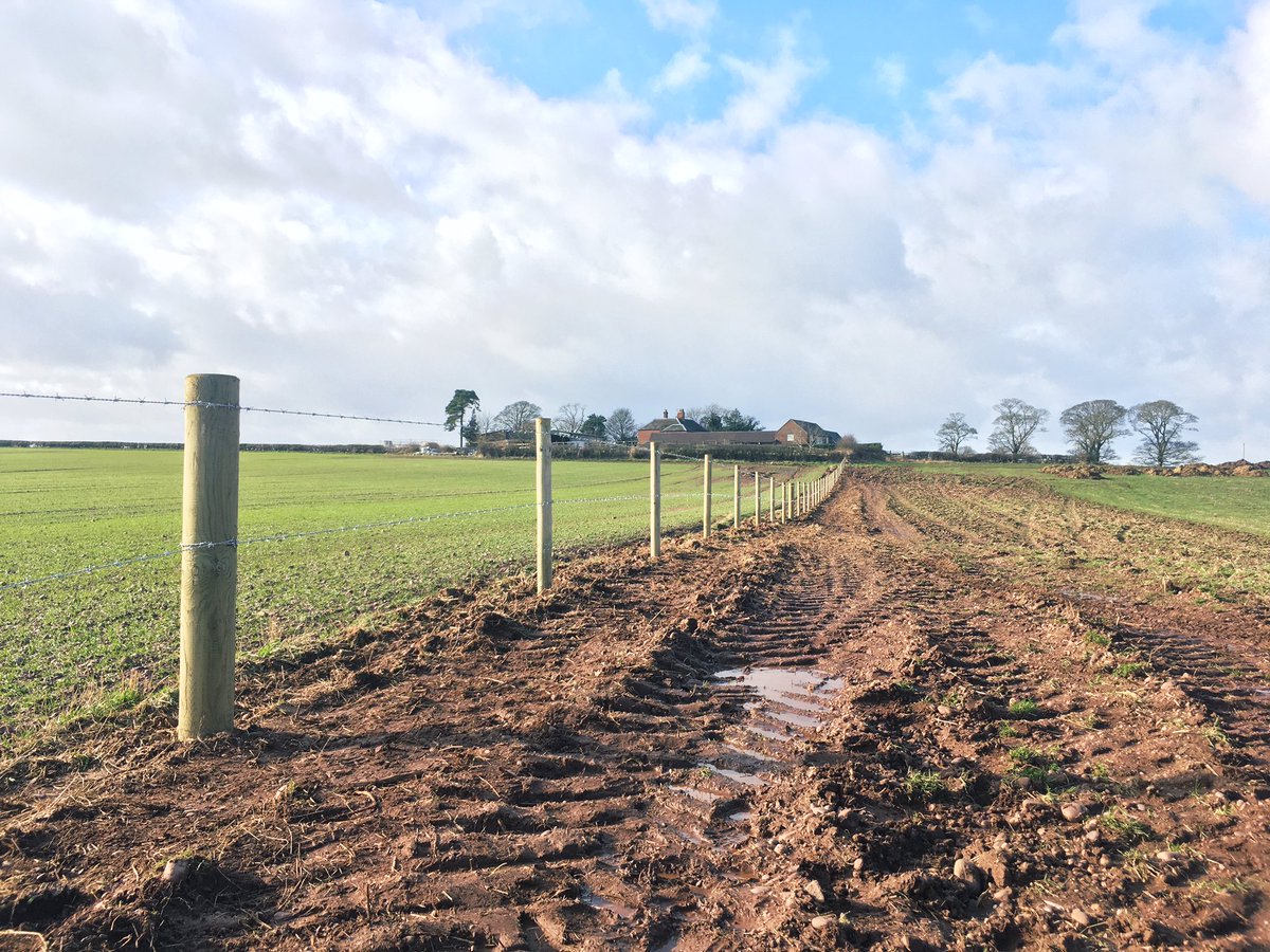 Dave Taylor tweet media