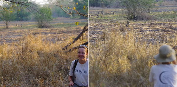 Philippa Hammond, Primatologist
Research focus: Baboons & Predation pressure, pictured in @GorongosaPark , habituating a woodland troop of Chacma baboons. 
#WomenInScienceDay #WomenInScience #GorongosaNationalPark @fighammond @UniofOxford @oxford_anthro