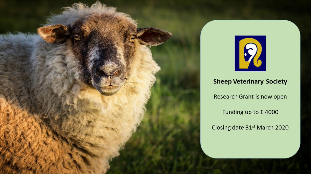 Sheep Veterinary Soc (@sheepvetsoc) on Twitter photo FUNDING - SVS research grant and the chance to receive up to ยฃ4k to fund novel, applied & evidence-based science for promoting the prevention of disease and the welfare of sheep. Deadline 31 Mar 2020 <a href="/sheepvetnet/">sheepvetnet</a>
<a href="/BritishVets/">BritishVets</a> See sheepvetsoc.org.uk #sheep FUNDING - SVS research grant and the chance to receive up to ยฃ4k to fund novel, applied & evidence-based science for promoting the prevention of disease and the welfare of sheep. Deadline 31 Mar 2020 <a href="/sheepvetnet/">sheepvetnet</a>
<a href="/BritishVets/">BritishVets</a> See sheepvetsoc.org.uk #sheep