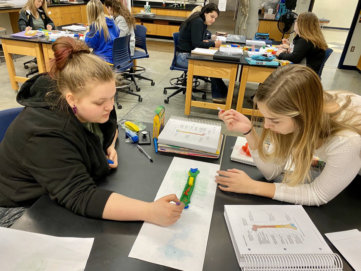 stuartscience's tweet photo. Making clay long bone models in anatomy @sfccmo #allaboutthedetails #artinanatomy #teamwork #SFCCMOYearbook2020 https://t.co/kEexj5M7jr