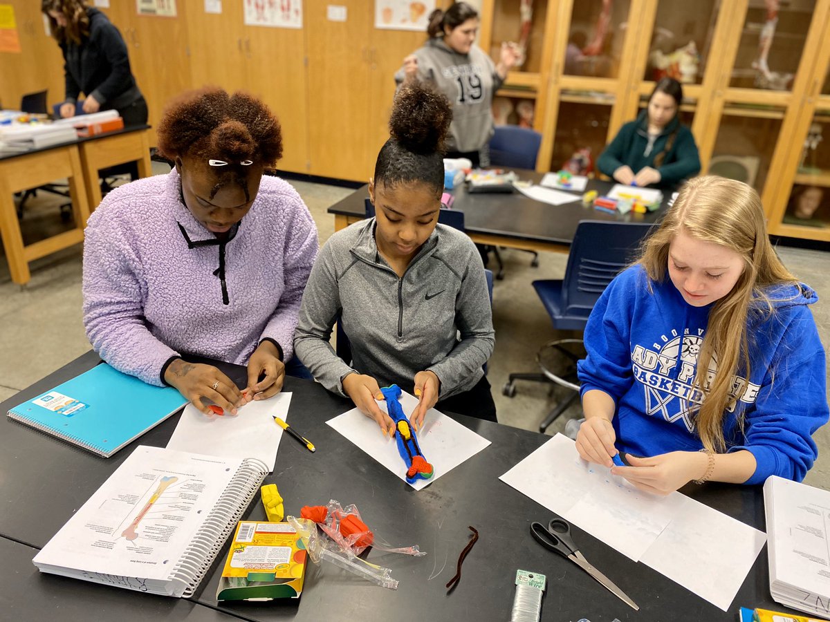 stuartscience's tweet photo. Making clay long bone models in anatomy @sfccmo #allaboutthedetails #artinanatomy #teamwork #SFCCMOYearbook2020 https://t.co/kEexj5M7jr
