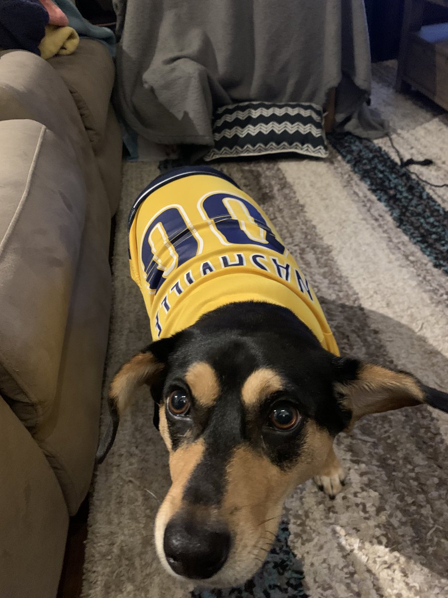 cheweluhsee's tweet photo. @PredsNHL https://t.co/ZpfjufAhIJ