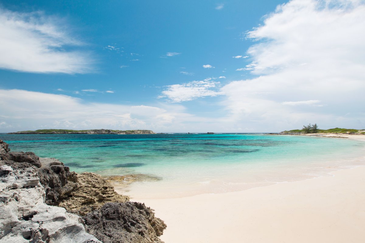 Explore The Bahamas tweet media