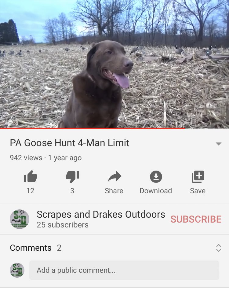 Scrapes&Drakes tweet media