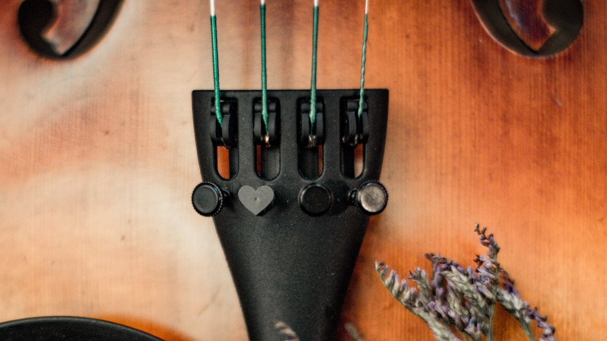 Luthier Vidal tweet media