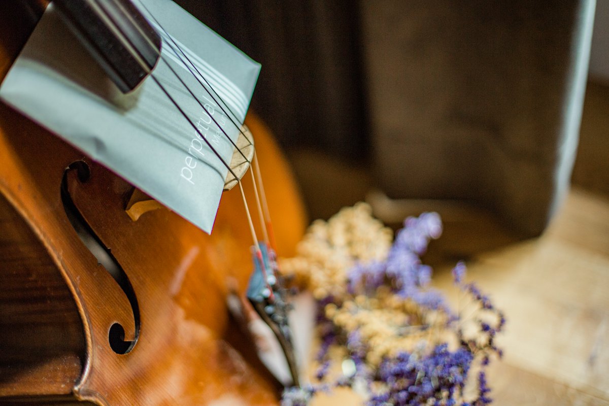 Luthier Vidal tweet media