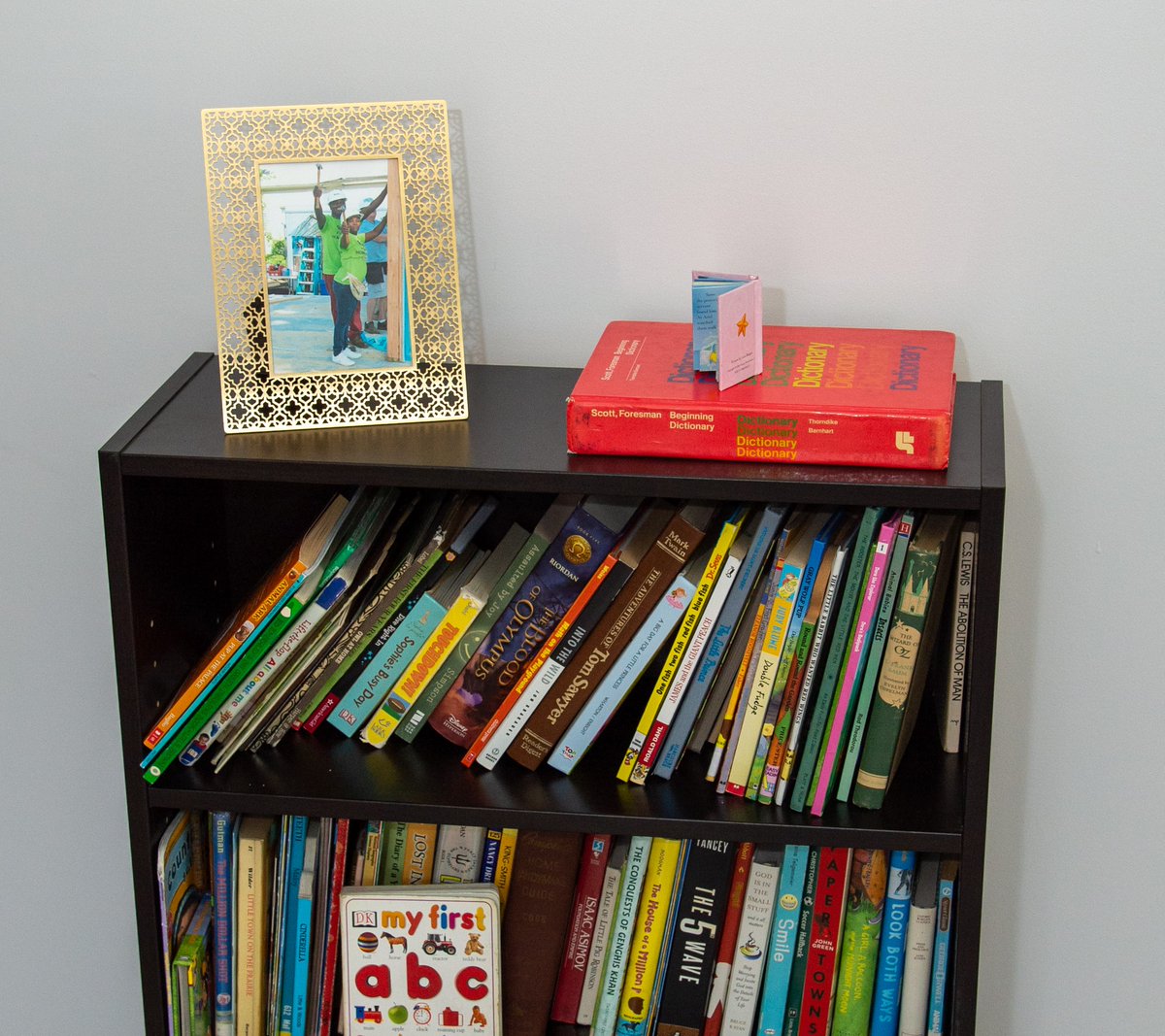 lexhabitat's tweet photo. Did you know @intlbookproject provides every new Lexington Habitat homeowner with a bookshelf full of books that have been selected just for them? Thanks for the ongoing support and love, #InternationalBookProject! #bookschangelives https://t.co/2ewP8gpnGE