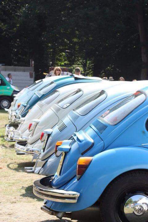 DubsHall's tweet image. This year&apos;s show and shine competition is sponsored by #painttec a local accident repair and paintwork specialist. So many beautiful vdubs to chose from...how will they decide? #dubsatthehall2020 #holthall #showandshine #vwfestival