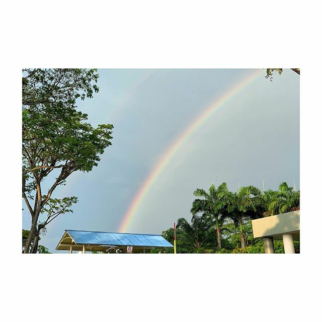 siouXree's tweet photo. treat for the tired and tested today 
#somewhereovertherainbow #spectrum #rightplacerighttime #onedayintwenty #apixadaykeepsthebluesatbay https://t.co/Akh3jtUq87 https://t.co/ALmp5UNKy5