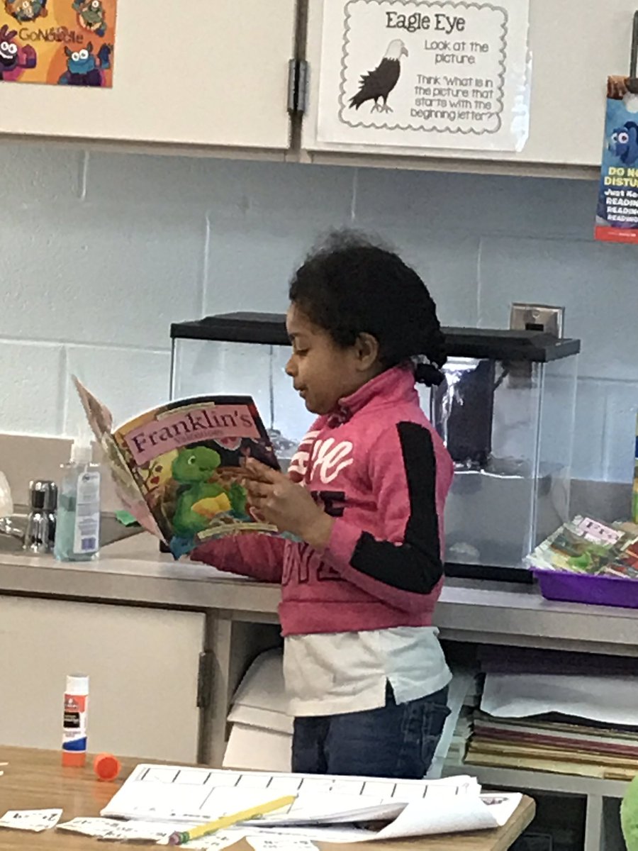 MsBoonesBabes's tweet image. #FranklinTheTurtle was loving being read to during independent reading today! Even the stuffy was listening! #MsBoonesBabes @WillieAP34 @RichlandTwo @TammerRoberts @PaulaChina1 @ConderStars