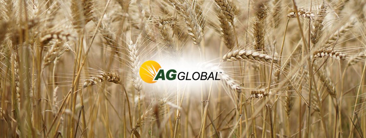 Processing, Production, and Packaging within 90 minutes of major N. American shipping and rail! Please contact gstill@agglobal.co or call 705-812-3206 for more information
#Agriculture #AGGLOBAL #production #rawmaterials #processing #packaging #shipping #rail #storage #granular