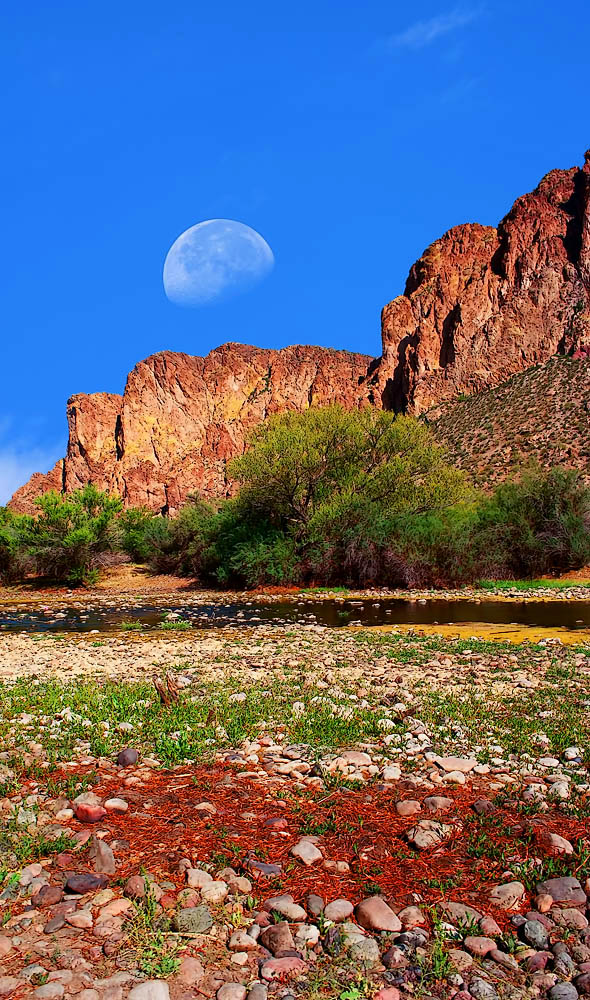 Salt River, Arizona...