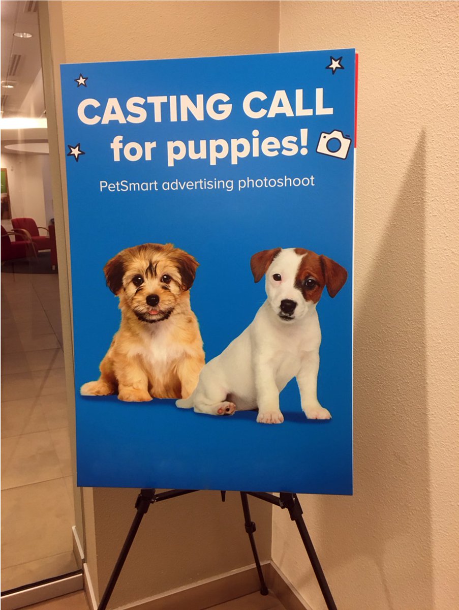 Life At PetSmart tweet media
