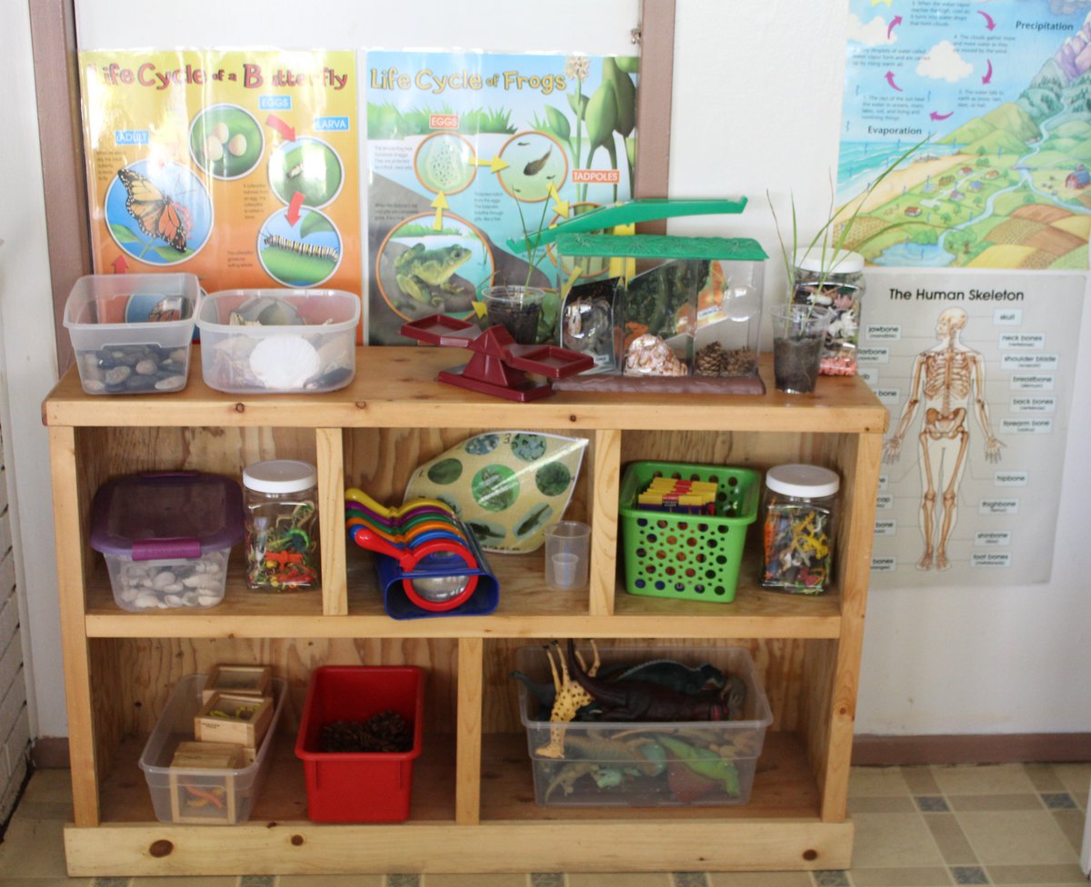 childcarewa's tweet image. One of the best ways to increase the # of #WomenInScience is to invest early. When young girls (and boys) attend high-quality child care &amp;amp; early learning programs they get great #EarlySTEM (incl. #EarlyNumeracy) to lay a foundation for all future learning. #childcare #earlyed