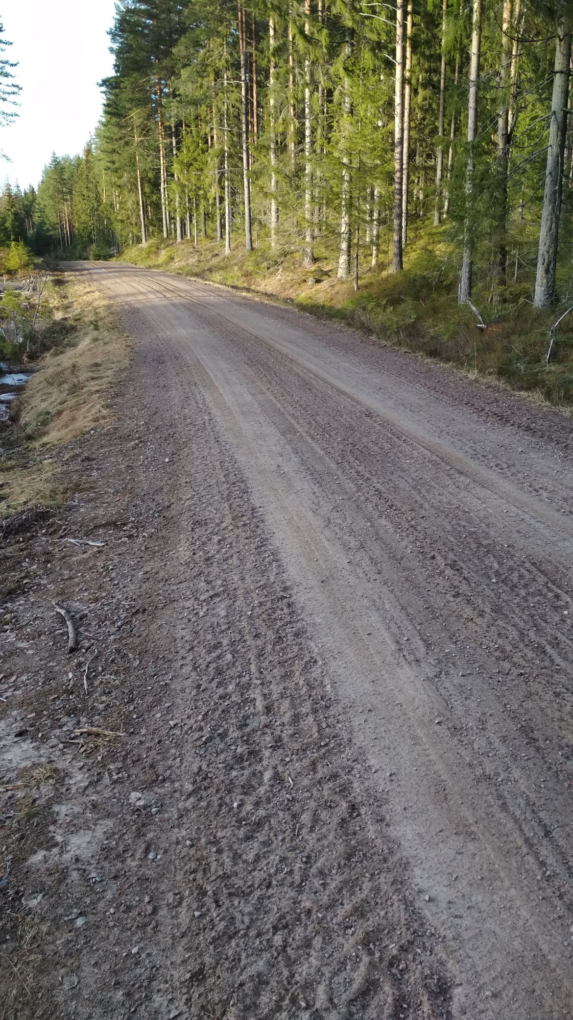 WRC: 68º Rallye Sweden [13-16 Febrero] - Página 2 EQgtg5JWsAEH-du?format=jpg&name=4096x4096