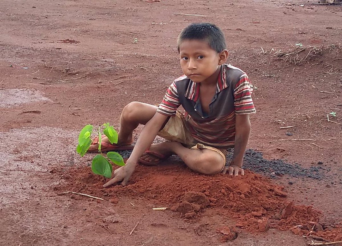 LeoDiCaprio's tweet photo. Xavante children from the Tsiba’adzatsi village in the Brazilian Amazon help plant seedlings at a nursery established to help with the recovery of degraded areas in the state of Mato Grosso. 🌱 Photo from @EarthAlliance #AmazonForestFund recipient Operação Amazônia Nativa. https://t.co/oV2gYG5kt8