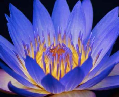 SevenoaksRetret's tweet photo. Sacred Dimensions of the Pathwork
Living in Love With What Is
@pathwork 
Led by: Donovan &amp; Susan Thesenga

For More Info and to Register:
https://t.co/oLzZIrVHxe

#pathwork #midatlanticpathwork #spiritualjourney https://t.co/6VqPBuTQwk