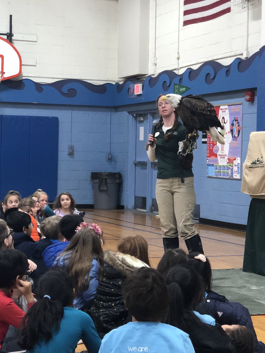 Thank you <a href="/HowellNatureCtr/">Howell Nature Center</a> for coming to Dolsen today! We loved Horus, Gilly, Igor, and Killi!! 🦉🦅💚