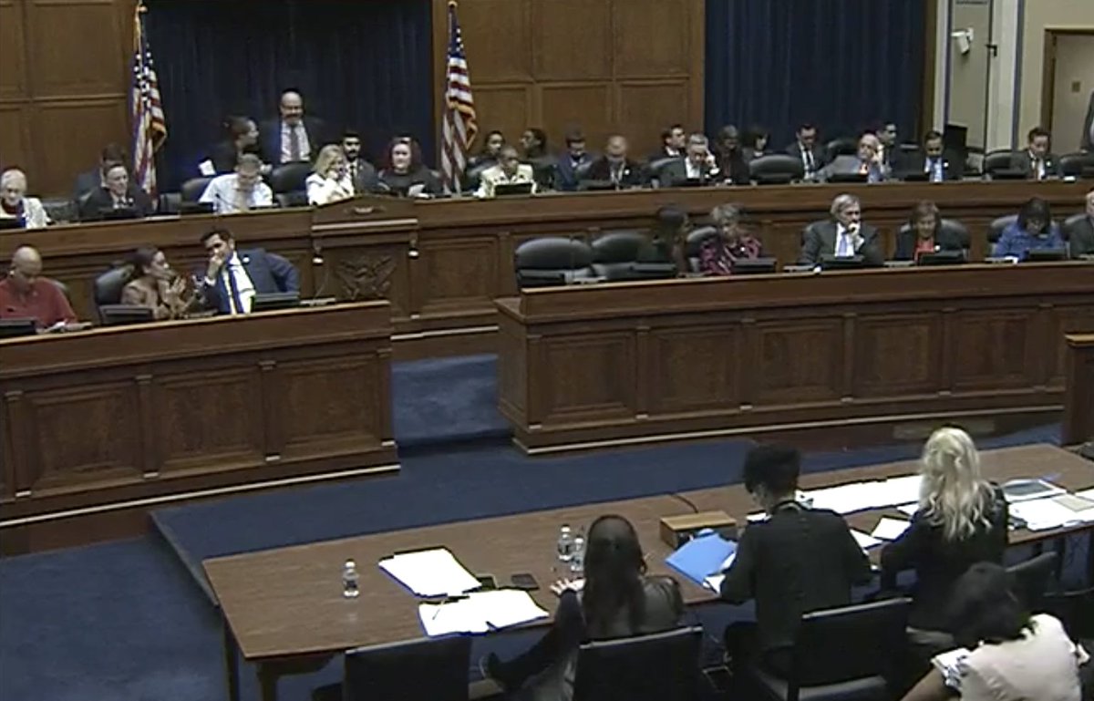Screenshot of the House Oversight and Reform Committee hearing room. Members are seen taking votes on amendments and final passage of H.R. 51.