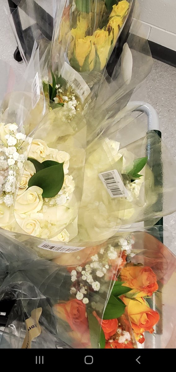 MrsKalash's tweet photo. Our delivery of fresh roses finally arrived!  Tomorrow ShopRite employees will send out the order form and start arranging beautiful bouquets for Valentine's Day. 
🌹✂️💧🎀💐❤
#proud2bmillstone https://t.co/5RbcCoQceI