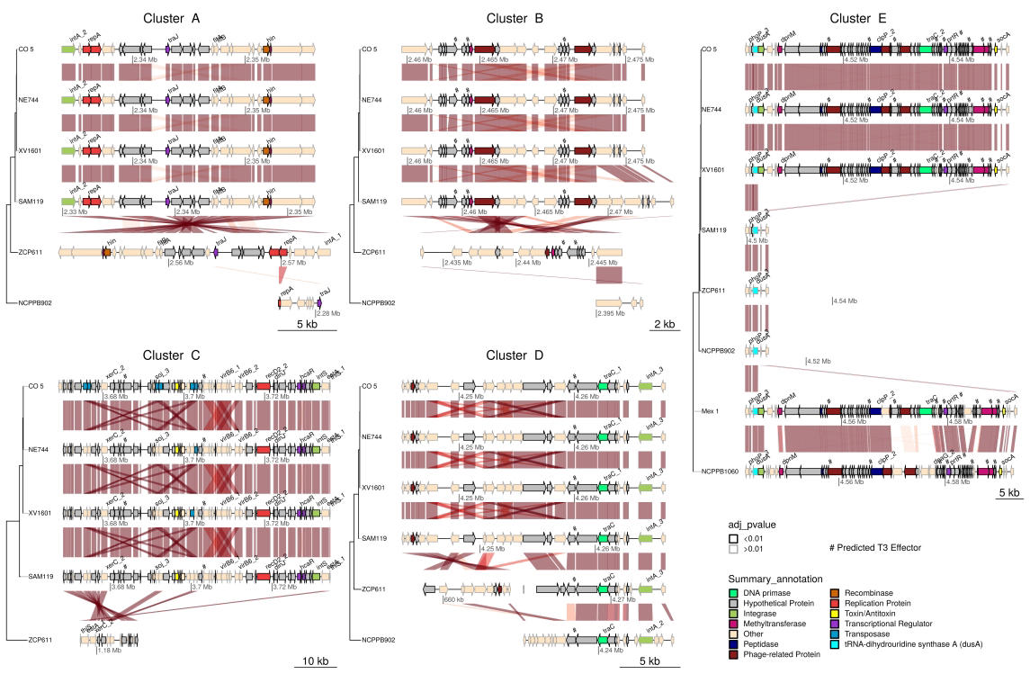 Our paper on genomic acquisitions associated to a recent Xanthomonas vasicola epidemic in the US and South America is now out in first look. with @Broders_Lab @jillianmlang <a href="/JanPhytobiomes/">Jan Leach</a>. apsjournals.apsnet.org/doi/10.1094/PH…