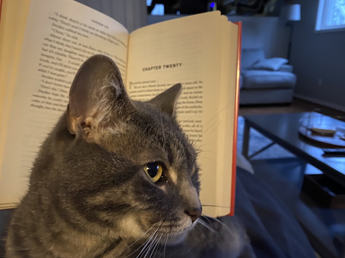 NicholasCrivac's tweet photo. Don’t mind me. Just trying to read ova heah.
#catsofintsagram #writerslife #writingcommunity #readingwithcats https://t.co/SkIw83G6RJ
