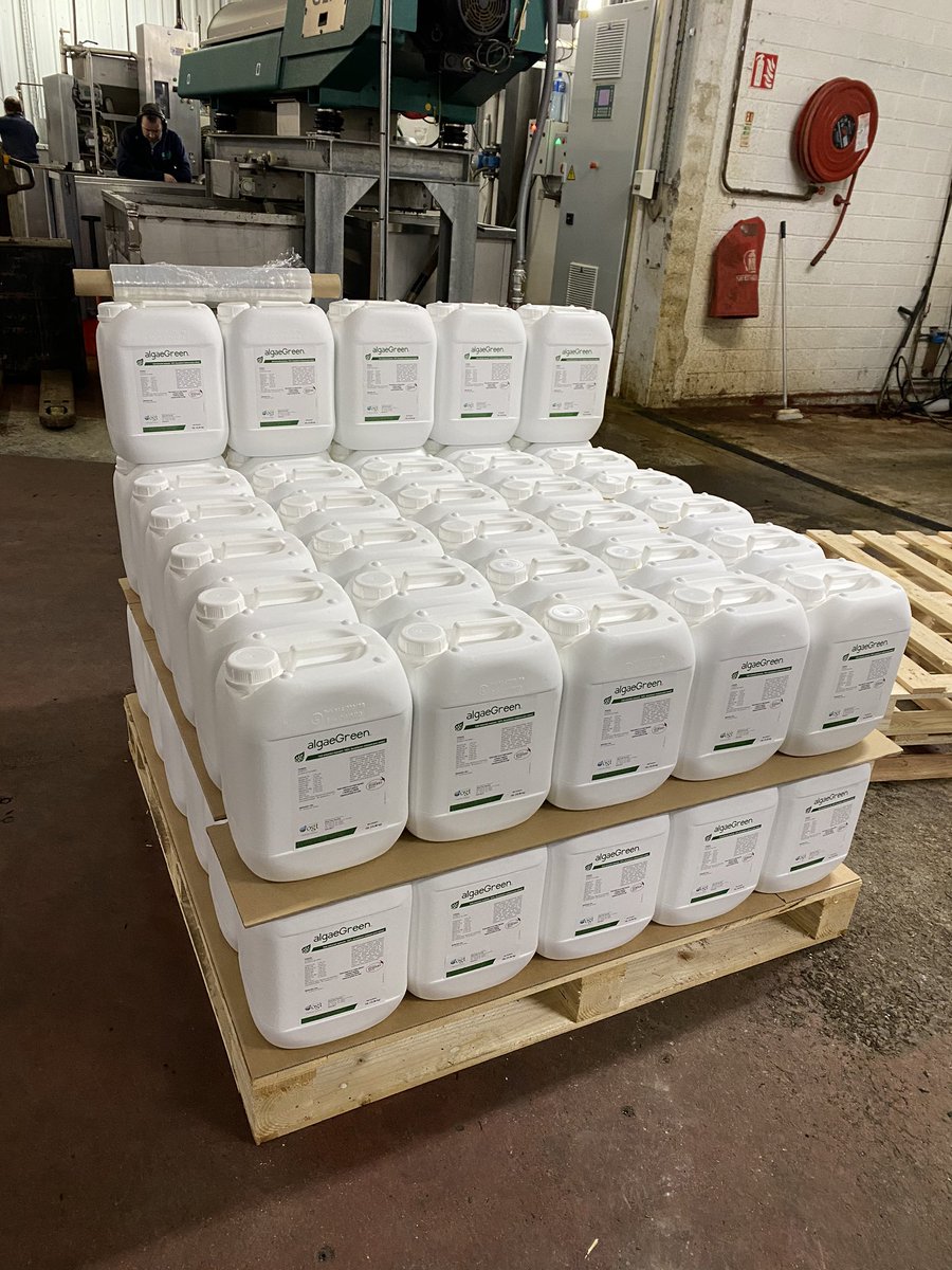 algaeGreen_OGT's tweet photo. We are up and running here with our new packing line! Have a look 👏 https://t.co/mYLwO5ScZb