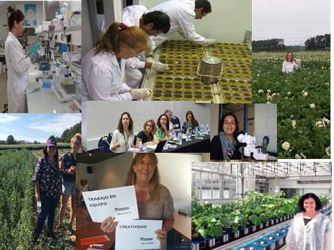 INTA Labintex-Europa tweet media