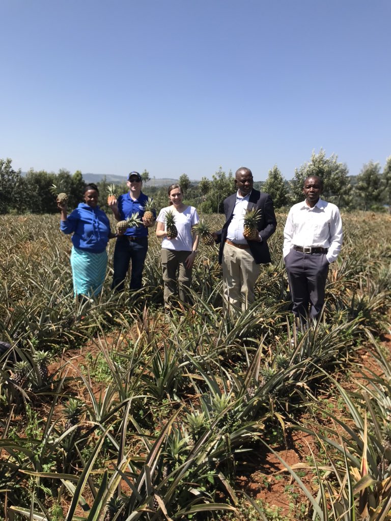 GALC_Hawkeye's tweet photo. Great day visiting three farms in Kenya discussing successes and challenges of agriculture. Thank you to all who welcomed us to their farms and homes. Lots of learning, laughter, and chai! https://t.co/QI6tTCKQBq