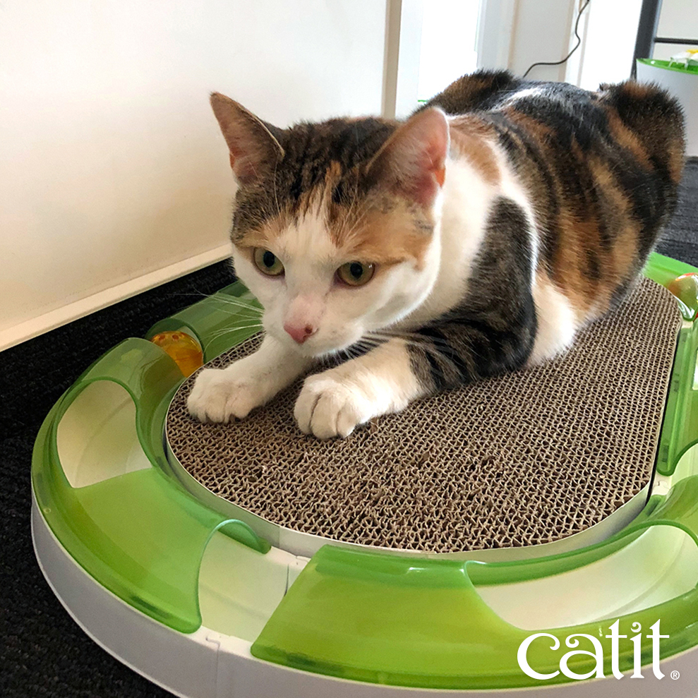 catit oval scratcher