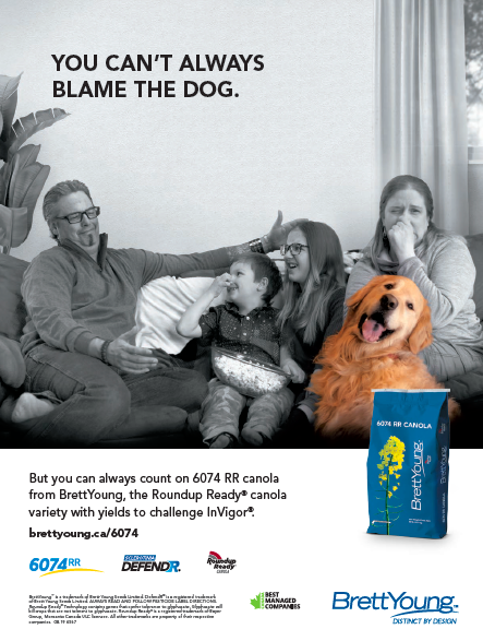 What we present to a client vs. finished product (with a million steps in between). Thank you <a href="/BrettYoungSeeds/">BrettYoung</a> for making our dog-fart dreams a reality! #CdnAgDay