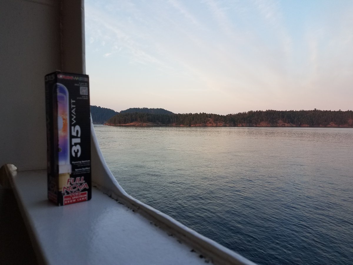 BC Islands....spectacular!
#bcisbeautiful #vancouverislandbc #vancouverisland #canadacannabis #cannabiscommunity #bcferries #hemplife