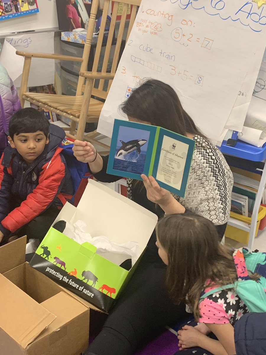 RaffoKinder's tweet photo. I am such a proud teacher! My students have donated 100$ to WWF to adopt an Orca. Through our polar PBL we have learned so much about polar animals and their needs. #kindersmakingadifference @GoshenPostES #gogpgators https://t.co/X6conInMXm