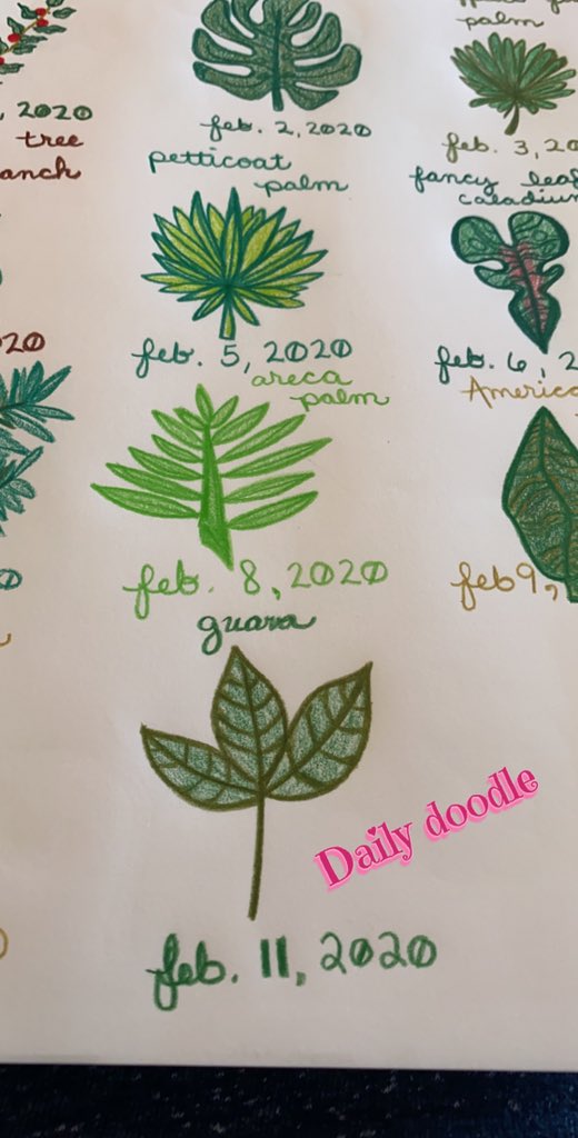 naturewulf's tweet image. Today’s daily doodle was a cute lil guava leaf. 😊 🌱 #create2020 #dailydoodle #plantbasedart #guava #art #greenz