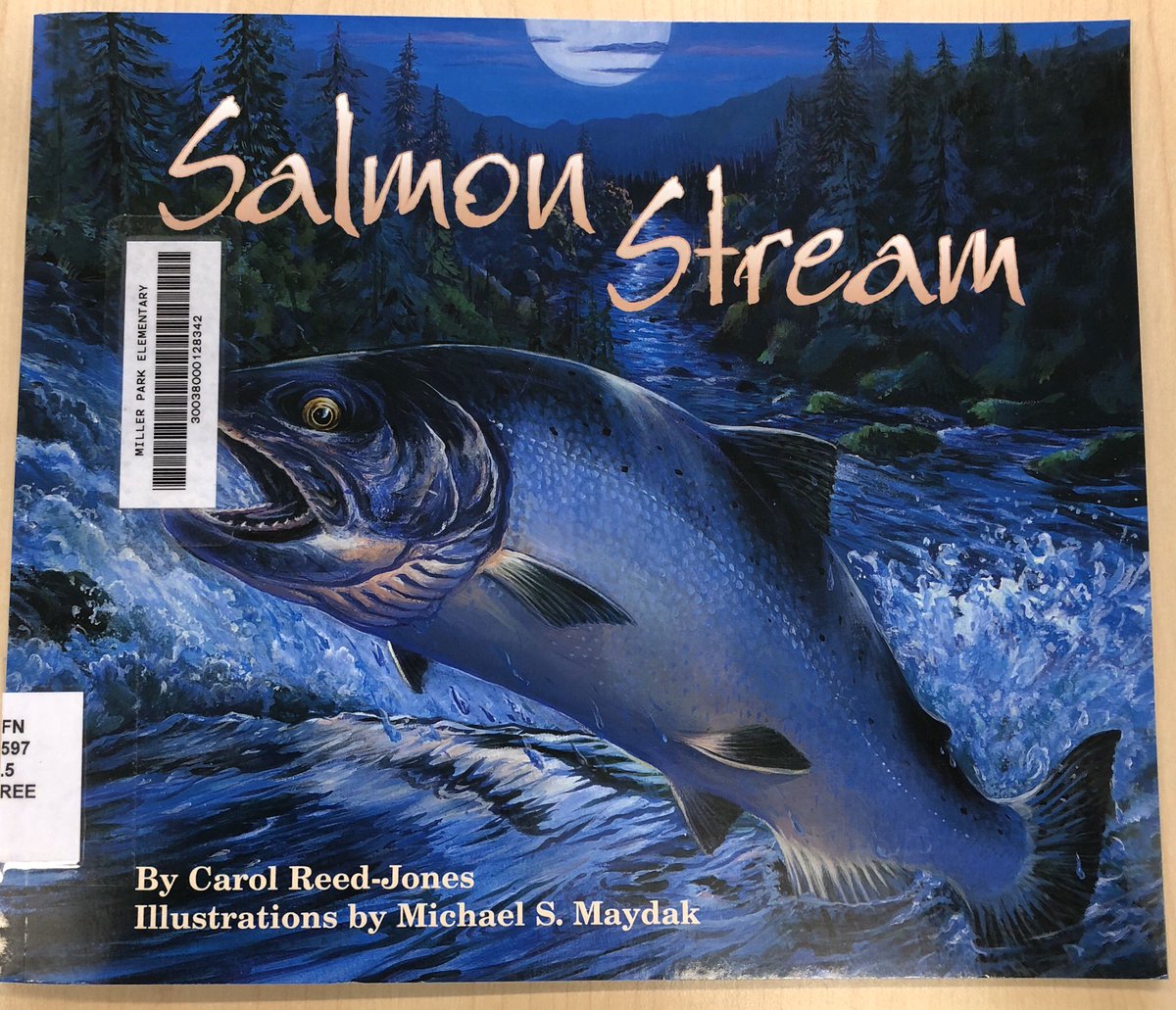 Great learning commons collaboration with Mrs. Dunn K/1-
We re-created a salmons journey from ocean to spawning grounds, an unplugged version using loose parts.  @sd43bc @MillerParkSD43 @jonathansclater  #library #learningcommons #coding #salmon   #looseparts #teacherlibrarian