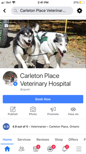 CP_Vet tweet picture