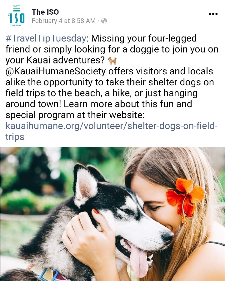 msinnovations's tweet photo. Such a cool idea!

#merchantserviceinnovations #kauaihawaii #kauai #hawaii #isohotel #iso #theiso #kauaihumamesociety #dogs #dog #greatidea #love #walks #dogsofinstagram #dogslife #dogsarefamily #dogsandpals #vacation #travel #perks #traveltiptuesday #volunteer #shelterdogs https://t.co/CFPQAQqWFw