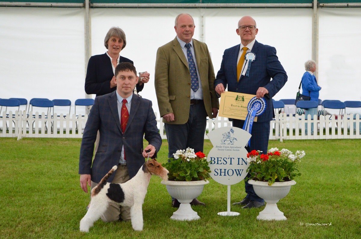 BorderUnion (@borderunion) on Twitter photo We are nominated for an award & looking for your support:
Our annual Dog Show is a finalist in the Championship Show of the Year at the Pawscars Awards in March this year. Voting is open as follows:
freeonlinesurveys.com/s/qcAFmjFU?fbc…
Please vote for us; many thanks #EveryVoteCounts We are nominated for an award & looking for your support:
Our annual Dog Show is a finalist in the Championship Show of the Year at the Pawscars Awards in March this year. Voting is open as follows:
freeonlinesurveys.com/s/qcAFmjFU?fbc…
Please vote for us; many thanks #EveryVoteCounts