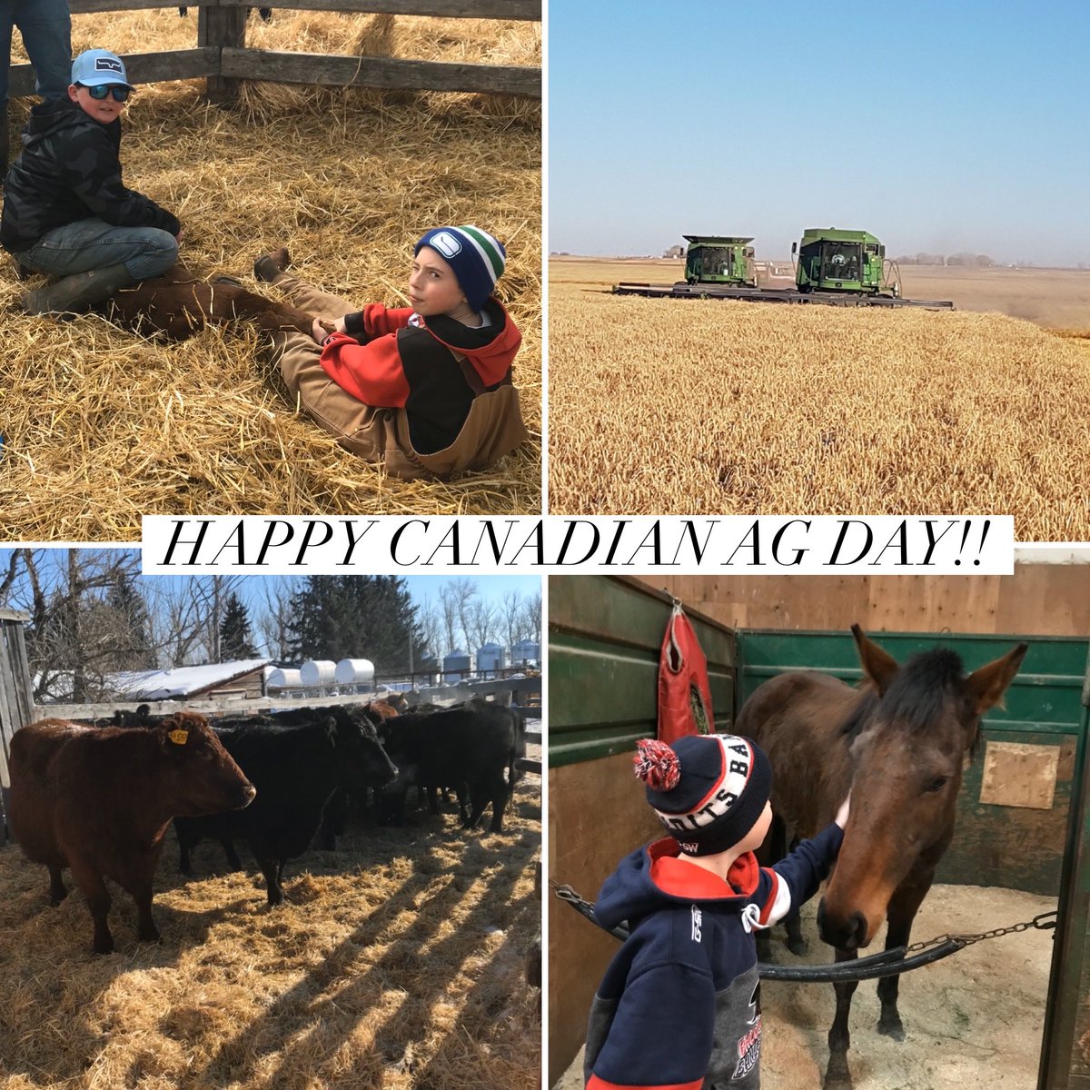 Happy Canadian Agriculture Day!!! Blessed to be a part of Agriculture in Canada!!  
#canadianagday #agriculturecanada #canadianagriculture #RAWFarms #albertaag #CdnAgDay @ChinookFin 
#aglender #farmwife #farmlife #agproud