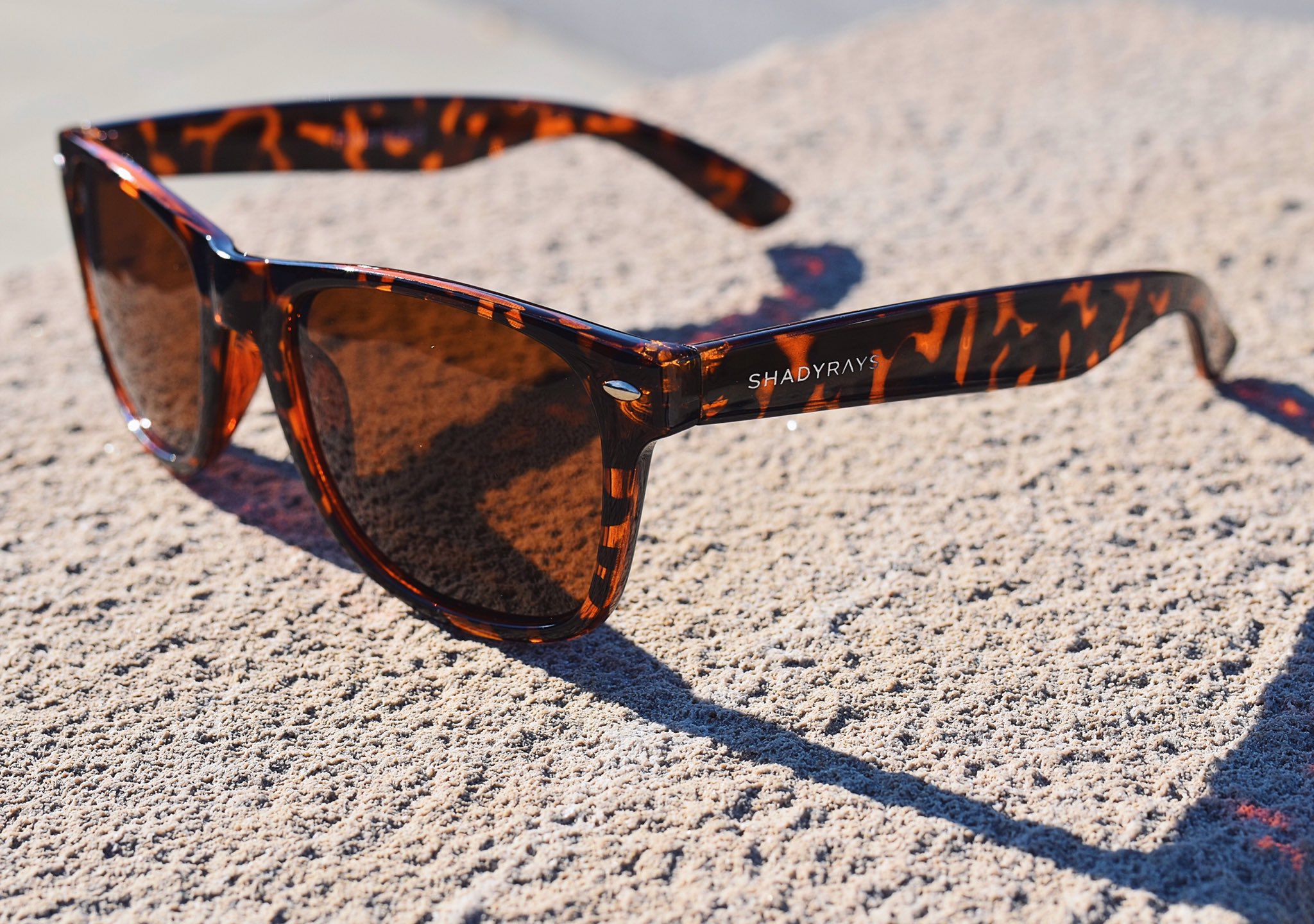 Reptile cheap sun sunglasses