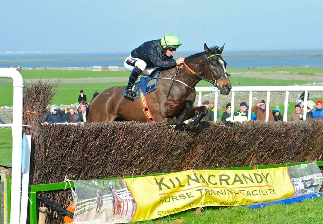 colinboweracing's tweet photo. Two really exciting four year old winners heading to @tattscheltenham #febsale with big futures. #milestonestablesgraduates @coolmorestud sires #ocovango #imperialmonarch https://t.co/leC230CCuy