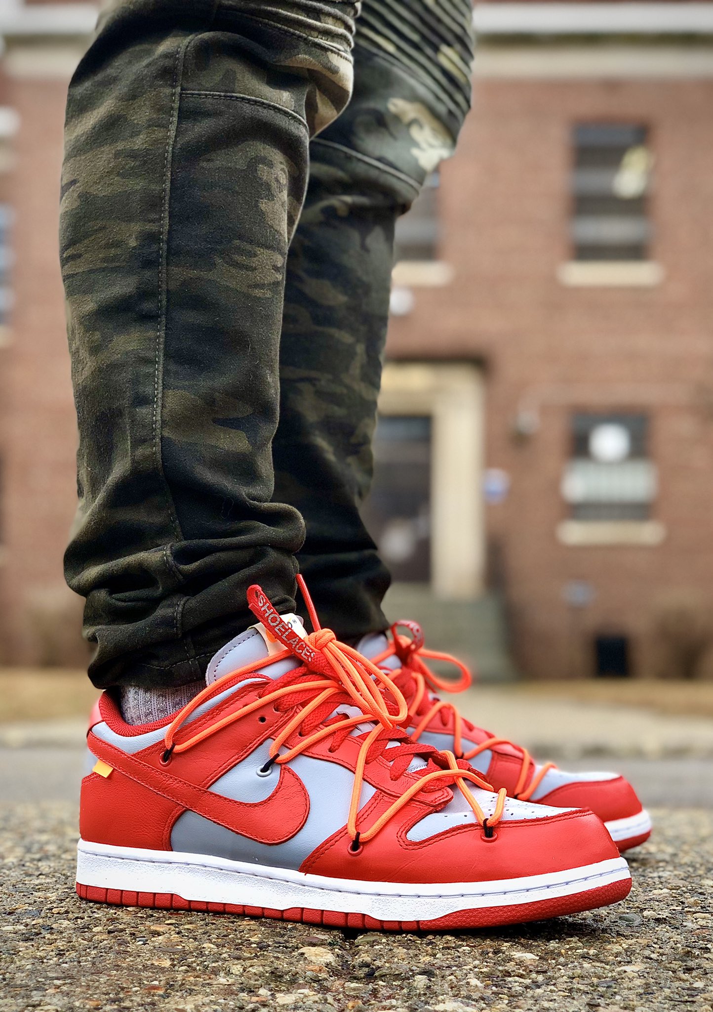unlv dunks off white